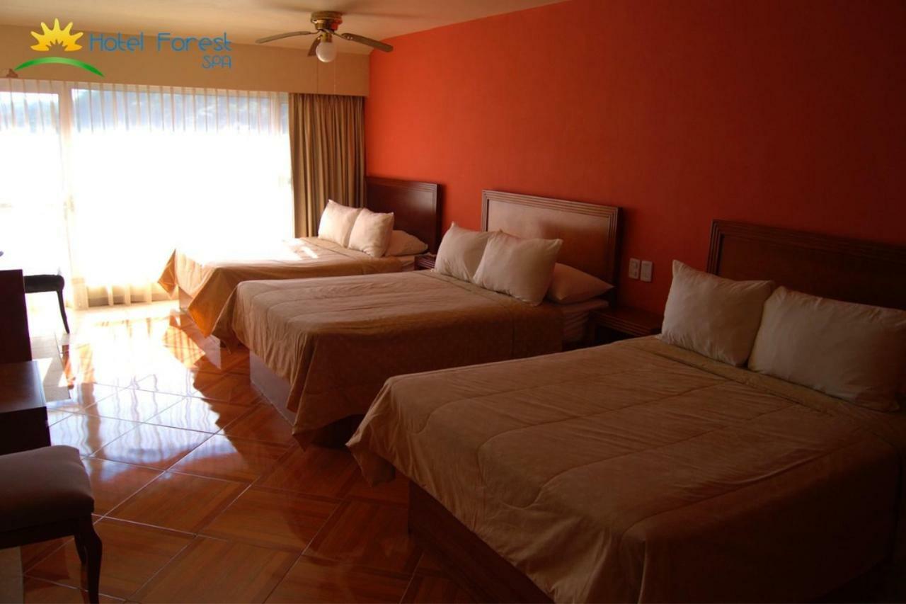 Hotel Forest 瓦乌奇南戈 外观 照片